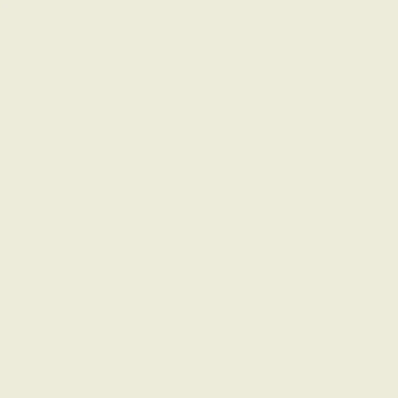 【KONA COTTON】1037 BONE