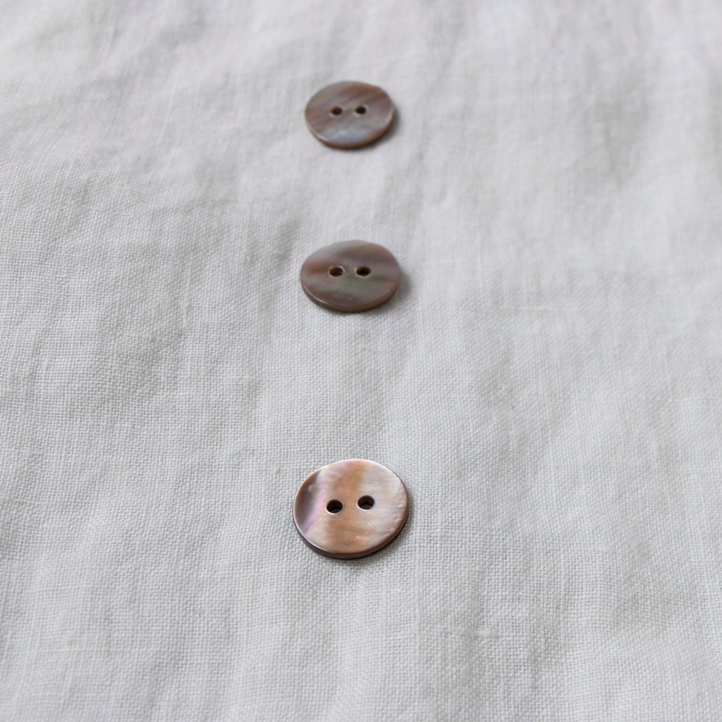 茶蝶貝-15mm