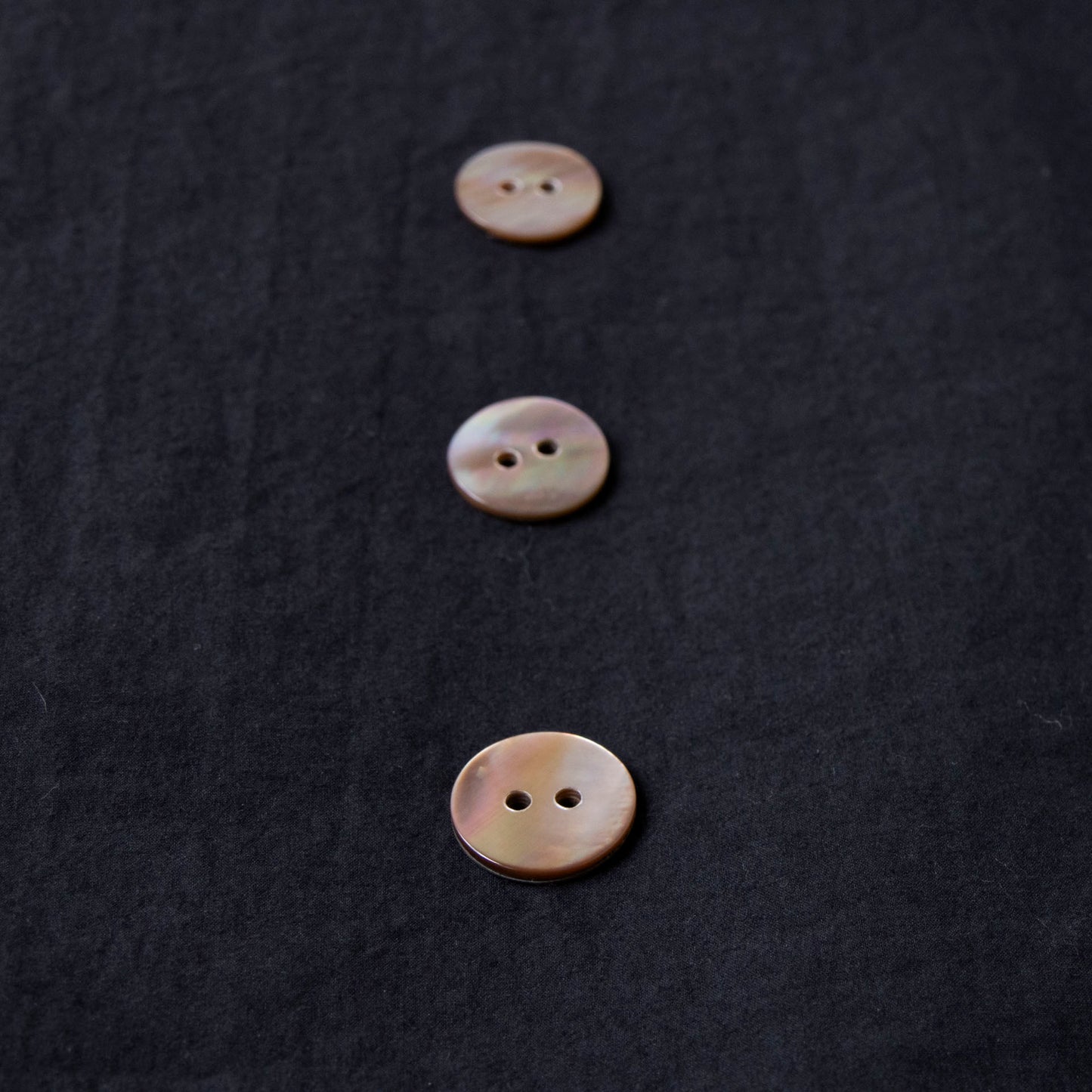 茶蝶貝-15mm
