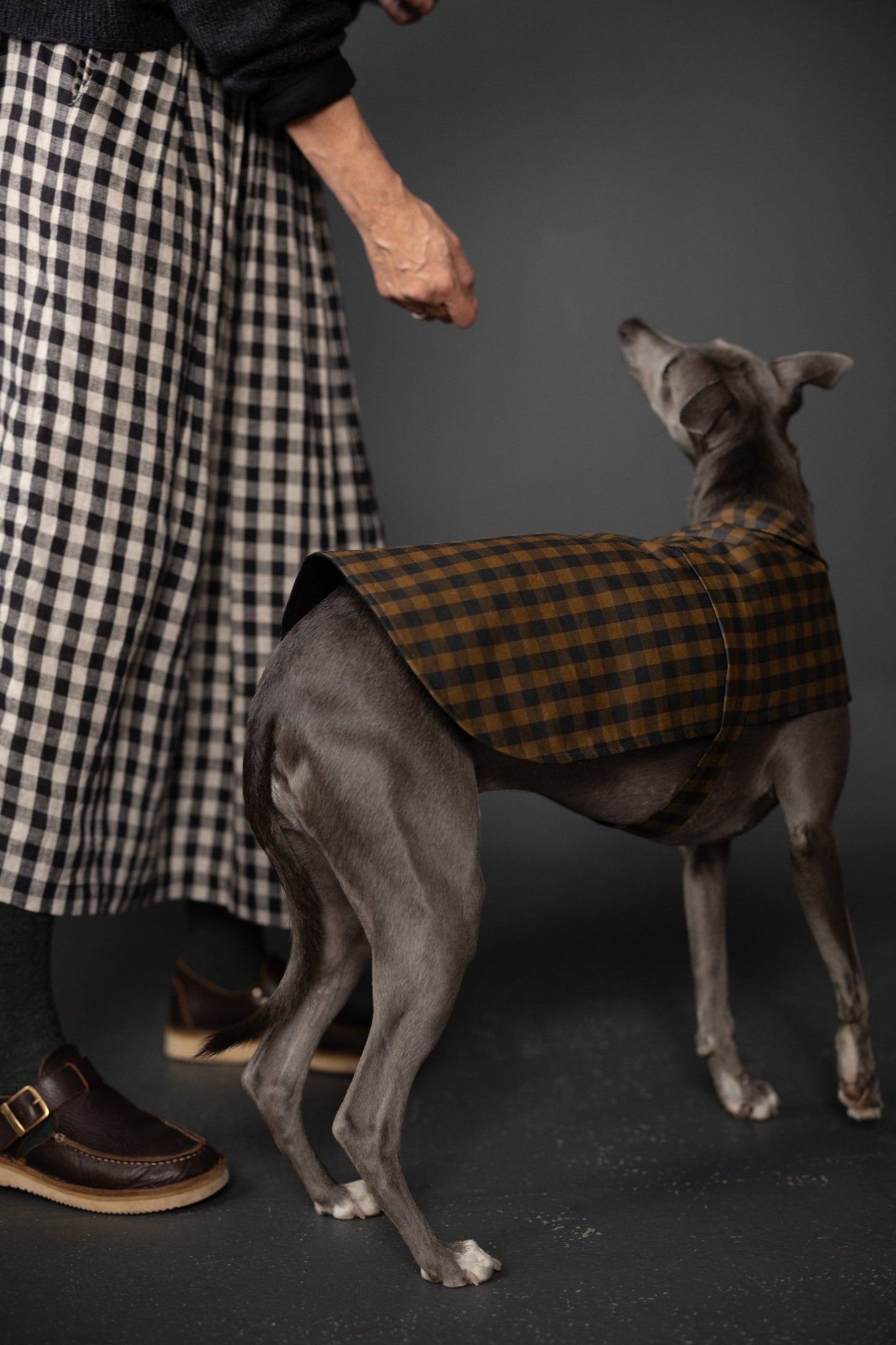 【PDF pattern】The Barka Dog Coat