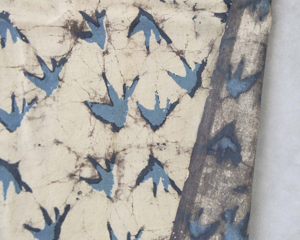 bird green