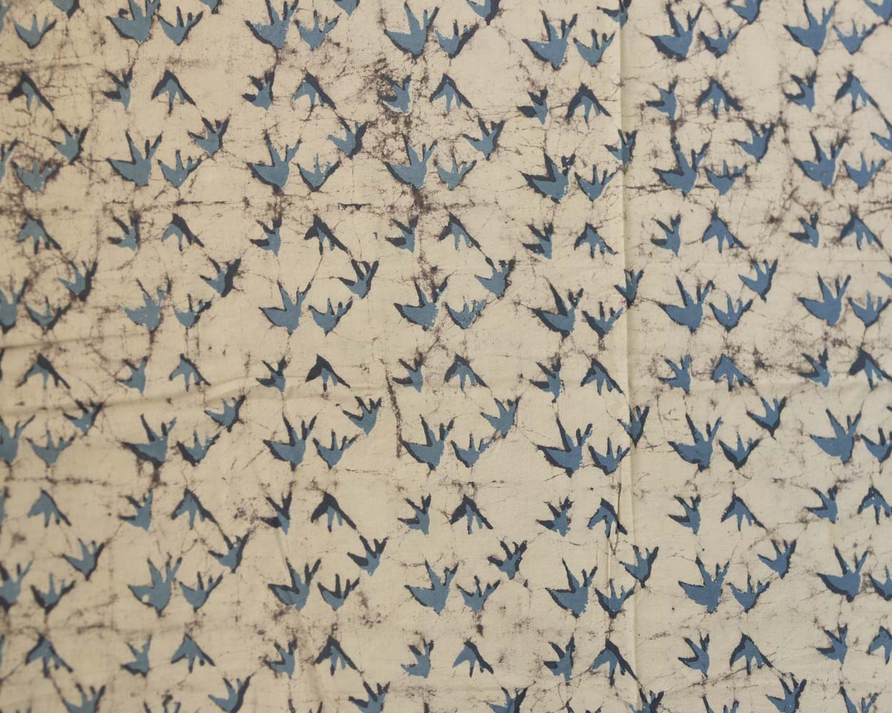 bird green