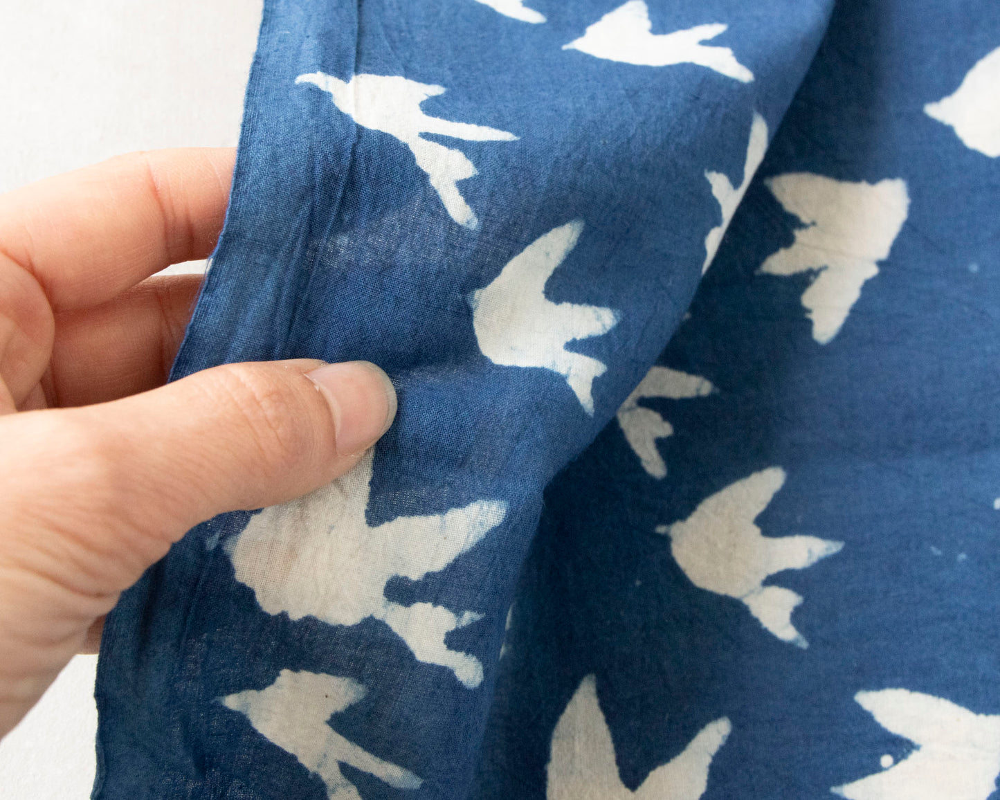 Indigo bird