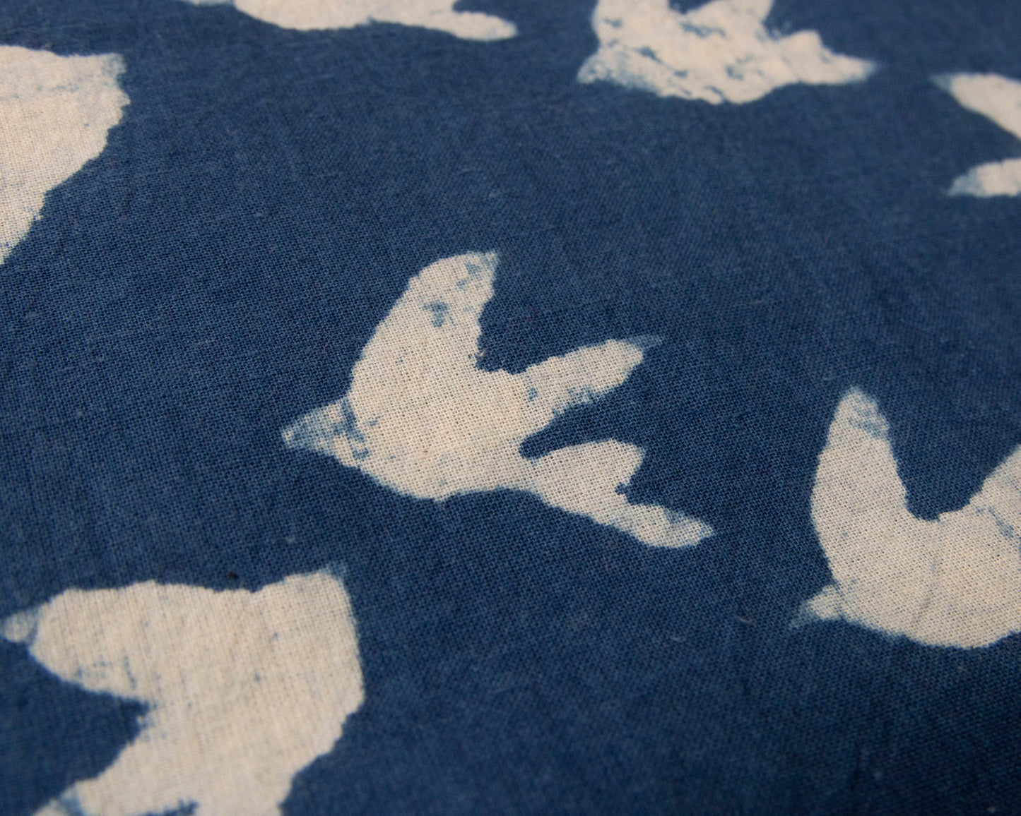 Indigo bird