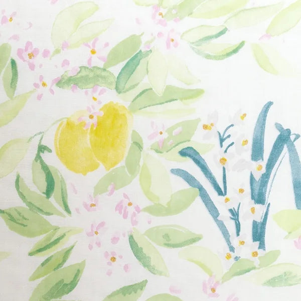 【Kit】Frills Top - nani IRO -