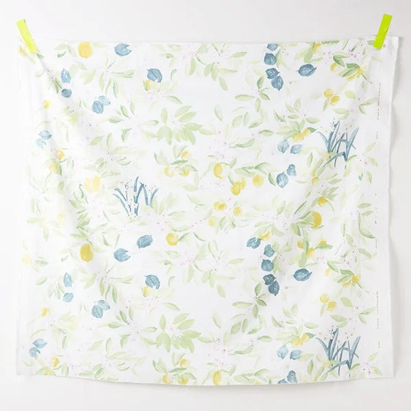 【Kit】Frills Top - nani IRO -