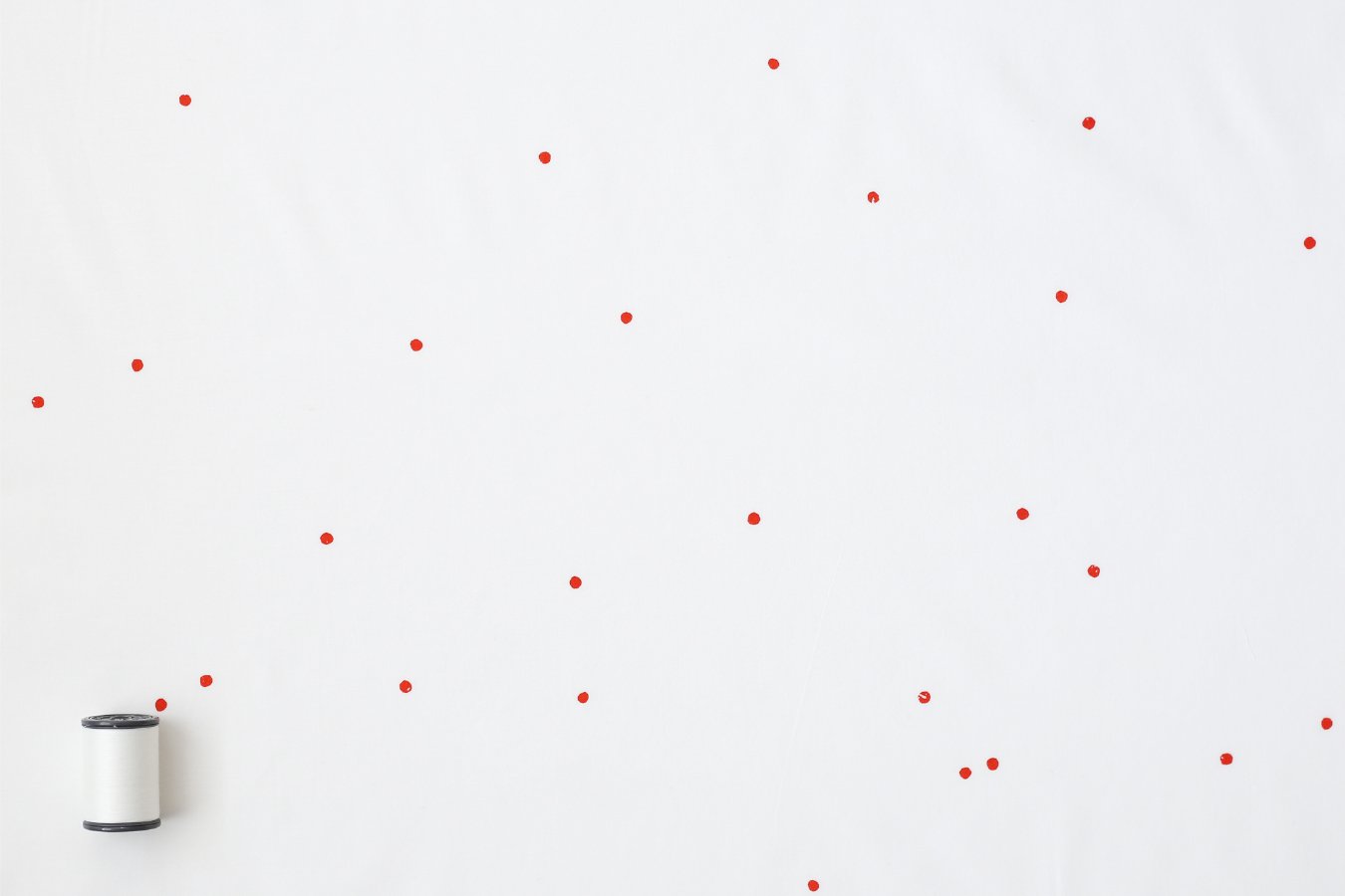 Daruma Tane White