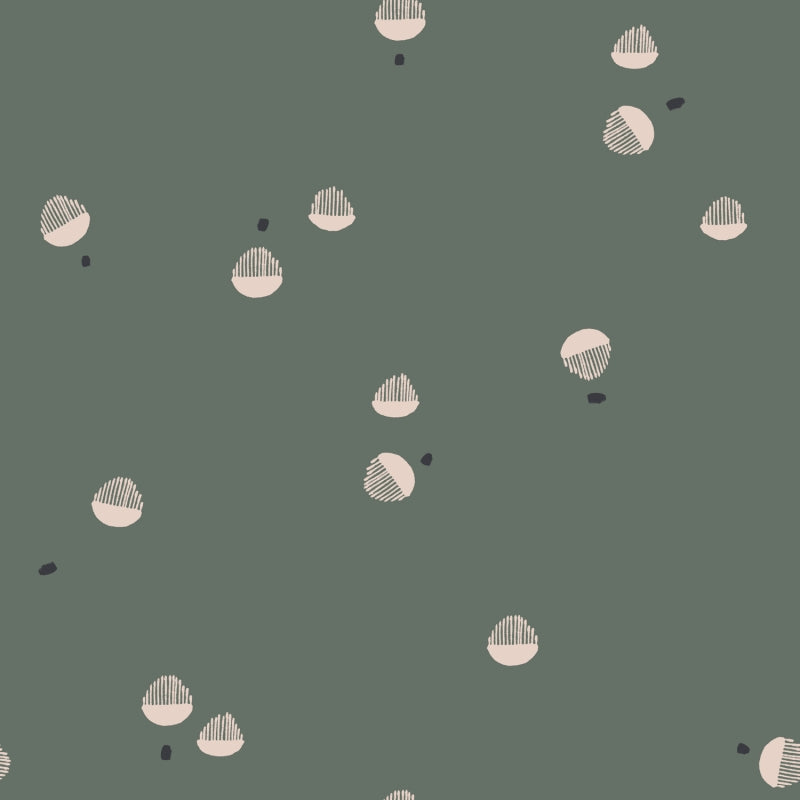 Seed