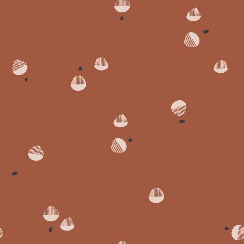 Seed
