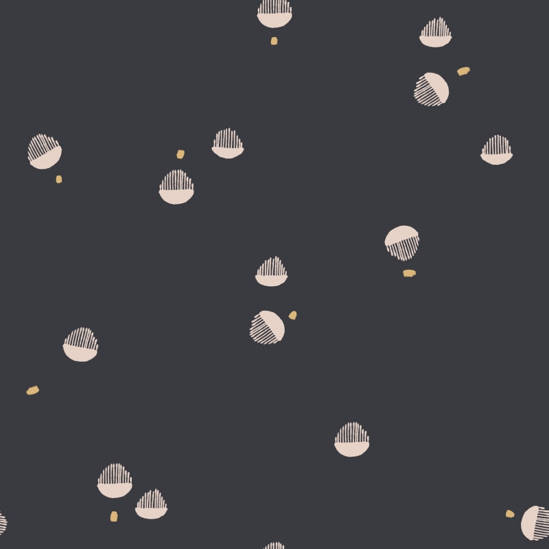 Seed